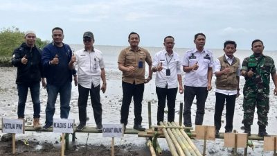 Sambut HPN 2023, PWI Kabupaten Tangerang Tanam 1000 Mangrove di Mauk 